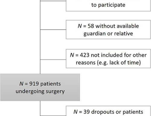 Presurgical Screening Improves Risk Prediction for Delirium in Elective Surgery of Older Patients: The PAWEL RISK Study